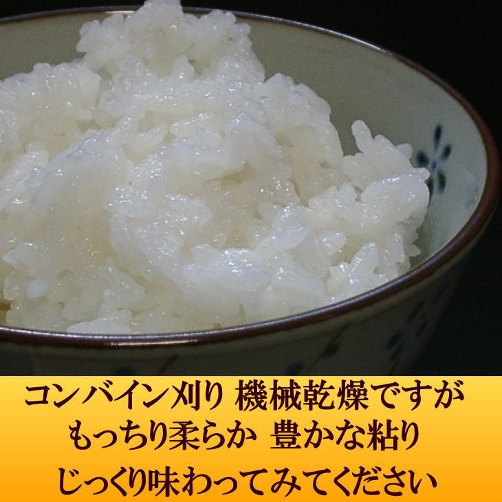 米　お米　新米　2kg　ひとめぼれ　白米　玄米もOK　発送日当日精米　令和5年産米　岩手県産　2キロから10個まで　6個以上送料無料