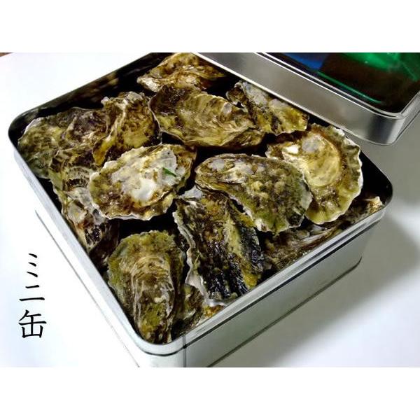 殻付き生牡蠣 岡山県 邑久産  ミニ缶 約30個(3kg)  ナイフ 軍手付き  生食可 送料無料 牡蠣 カキ かき 殻付き牡蠣 生食用 一斗缶