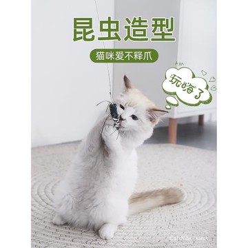 afp昆蟲逗貓棒貓玩具自嗨解悶替換頭長桿磨牙寵物小貓咪用品大全