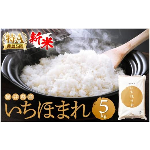 ふるさと納税 福井県 越前町 年内発送！特A通算5回！お米 いちほまれ 5kg 令和5年 福井県産 [e27-a016]