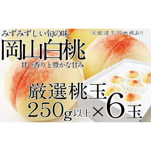 ふるさと納税 岡山県 瀬戸内市 桃 2024年 先行予約 岡山の白桃 250g以上×6玉 白桃 旬 みずみずしい 晴れの国 おかやま 岡山県産 フルーツ王国 果物王国 [No.5…