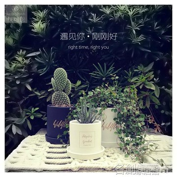 北歐印金陶瓷花盆工業氣質陶土多肉花器黑白色圓柱形 名創家居館