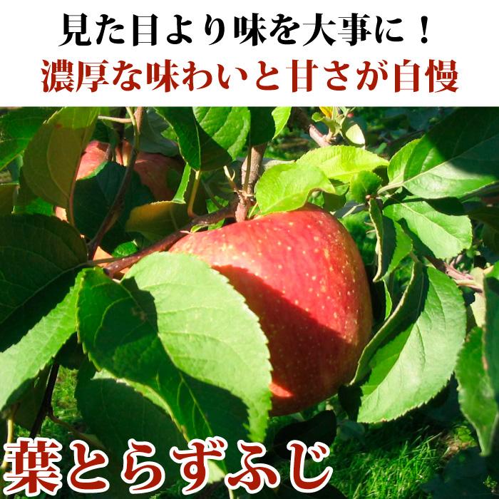 りんご 贈答 サンふじ 青森県産 葉とらず ふじ 特選 小玉 10kg 産地直送 産直 御歳暮 歳暮 内祝い プレゼント 内祝 お返し 贈答品 食べ物 旬の 果物