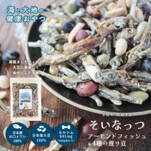 そいなっつ アーモンドフィッシュ 4種の煎り豆 300g 送料無料 小魚 アーモンド 国内加工 お菓子 おやつ おつまみ 乾燥豆 いり大豆