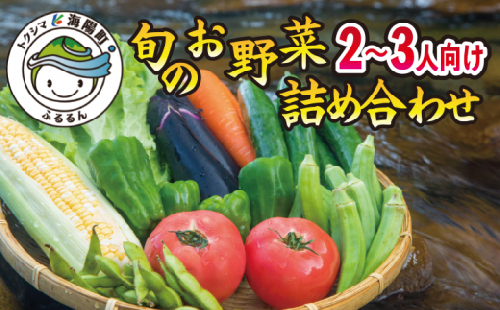 阿波の国海陽町 旬のお野菜詰め合わせセット６‐９品 野菜 徳島県 海陽町産 野菜セット 詰め合わせ 2-3名様以上 向け 季節の野菜 やさい 産地直送 新鮮 採れたて お試し 単品