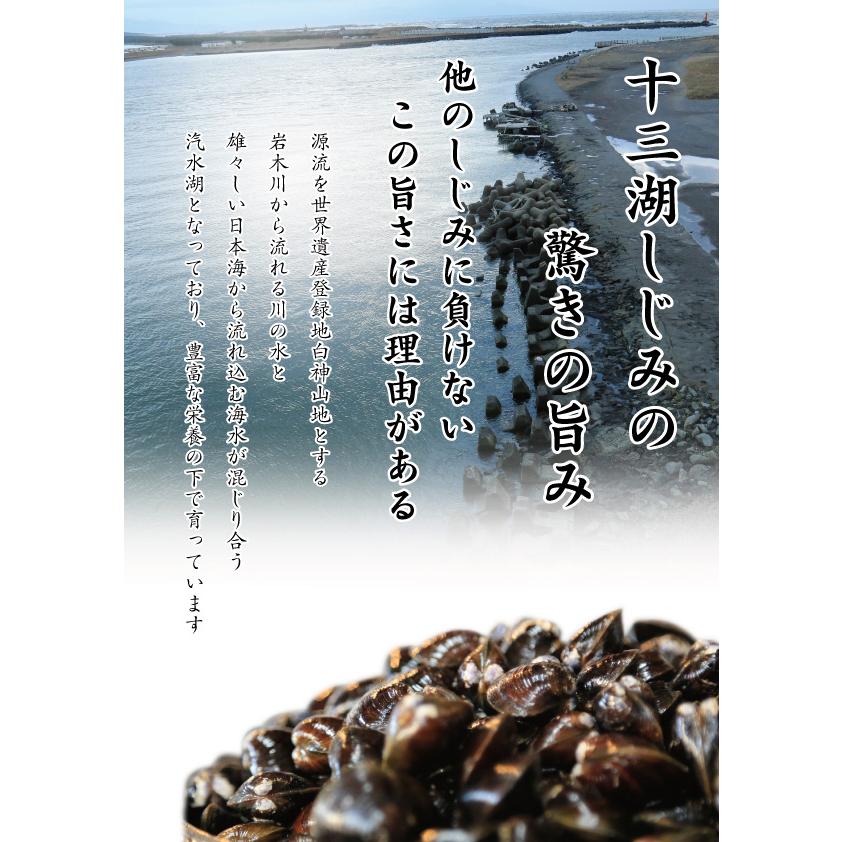 砂抜き済青森県 津軽 十三湖 産 Sサイズ