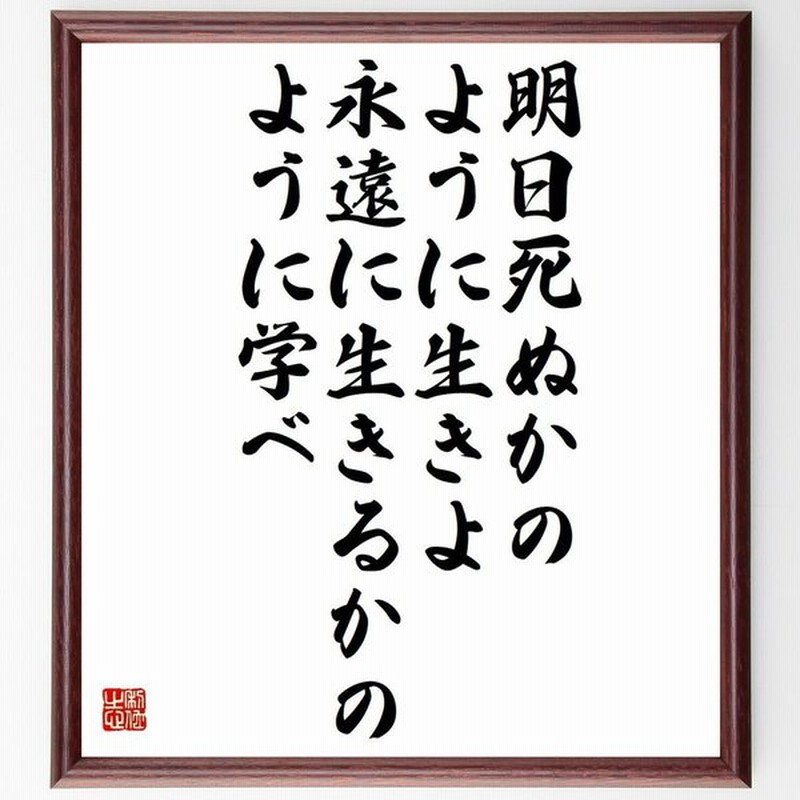 ガンジーの名言 明日死ぬかのように生きよ 永遠に生きるかのように学べ 額付き書道色紙 受注後直筆 通販 Lineポイント最大0 5 Get Lineショッピング