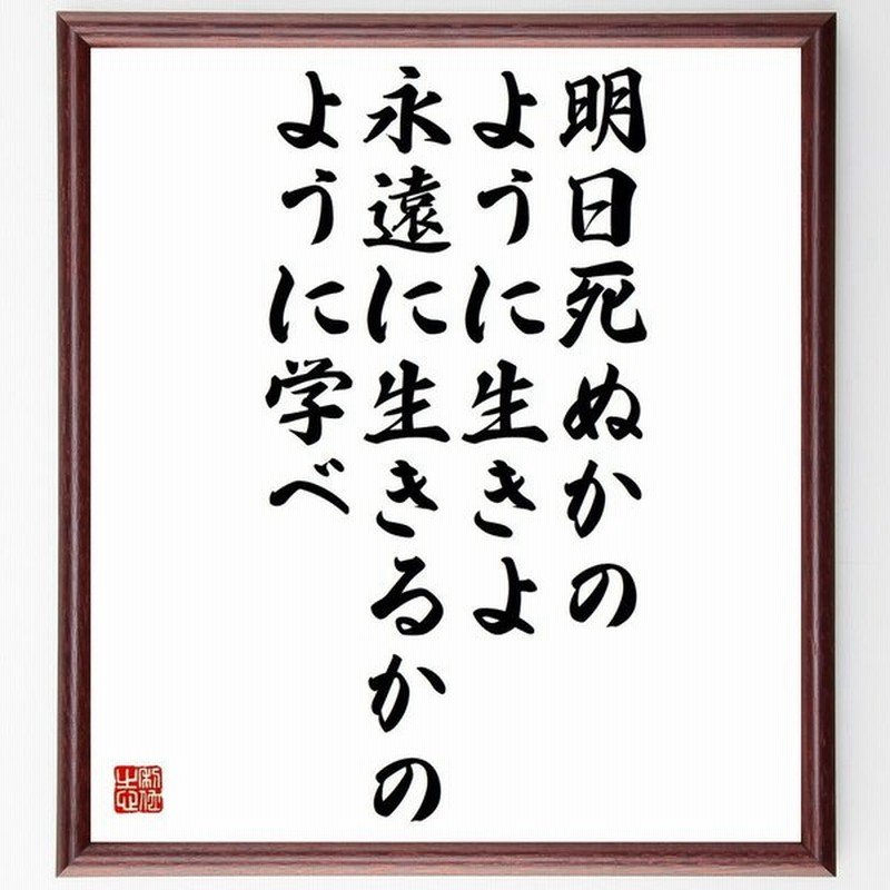 ガンジーの言葉 名言 明日死ぬかのように生きよ 永遠に生きるかのように学べ 額付き書道色紙 受注後直筆 通販 Lineポイント最大0 5 Get Lineショッピング