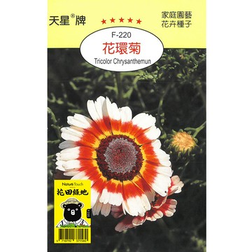 花田綠地種子 花環菊
