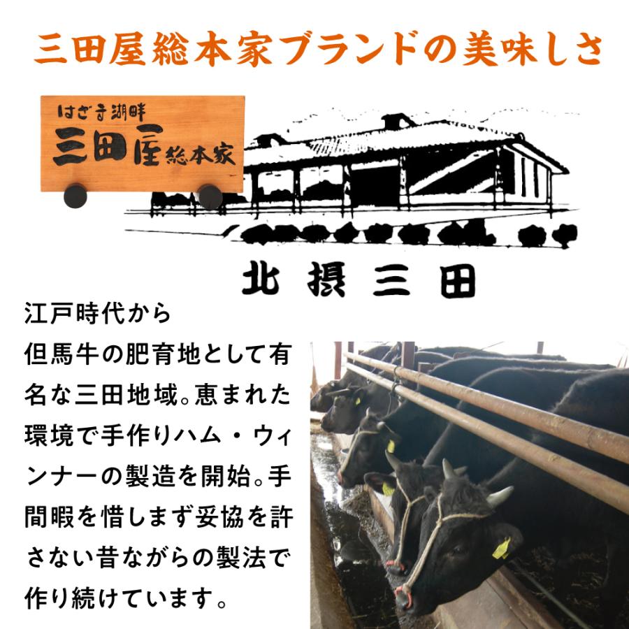 三田屋 総本家 レトルトカレー  送料無料 国産牛と国産野菜のビーフカレー 180g×8箱 ご自宅用 通販限定商品