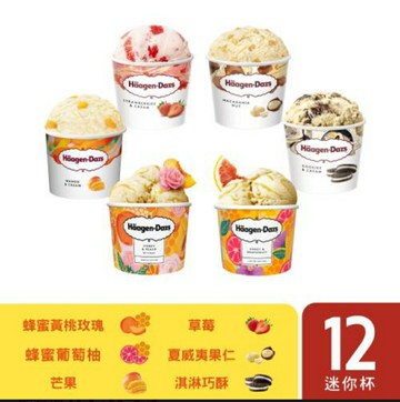 哈根達斯 冰淇淋  迷你杯12入（100ml) [FIFI SHOP]｜宅配 免運