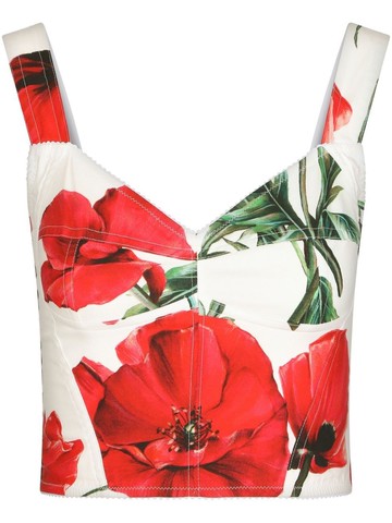 Dolce & Gabbana Poppy Print Bustier