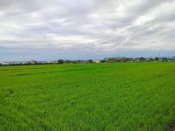 萬丹鄰近88橋小農地(1.76分)｜屏東縣萬丹鄉灣內段