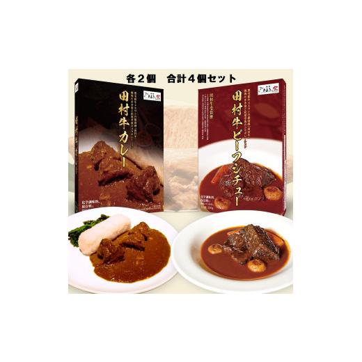 ふるさと納税 鳥取県 岩美町 日本一の田村牛・至高のカレーとビーフシチューセット（カレー2P・ビーフシチュー2P）