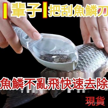 💖新北有貨💖去魚鱗神器 魚鱗刨 魚鱗刀 刮魚鱗器 打鱗器 去魚鱗工具 魚鱗刷 去鱗刮 魚鱗神器家用