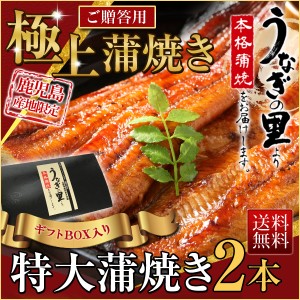 御歳暮 お歳暮 ギフト うなぎ グルメ 蒲焼き 国産 鹿児島産 特大蒲焼き2本セット 約200g×2 ギフトBOX特典付き 土用の丑の日 送料無料 ク