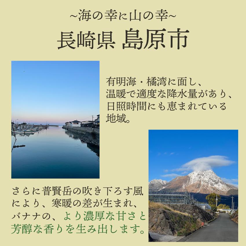 長崎県島原産　なかなかバナナ 1kg (冷凍・段ボール入)