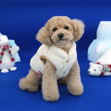 ParisDog 北極羽絨狗狗背心 (寵物服飾) 2XL-3XL