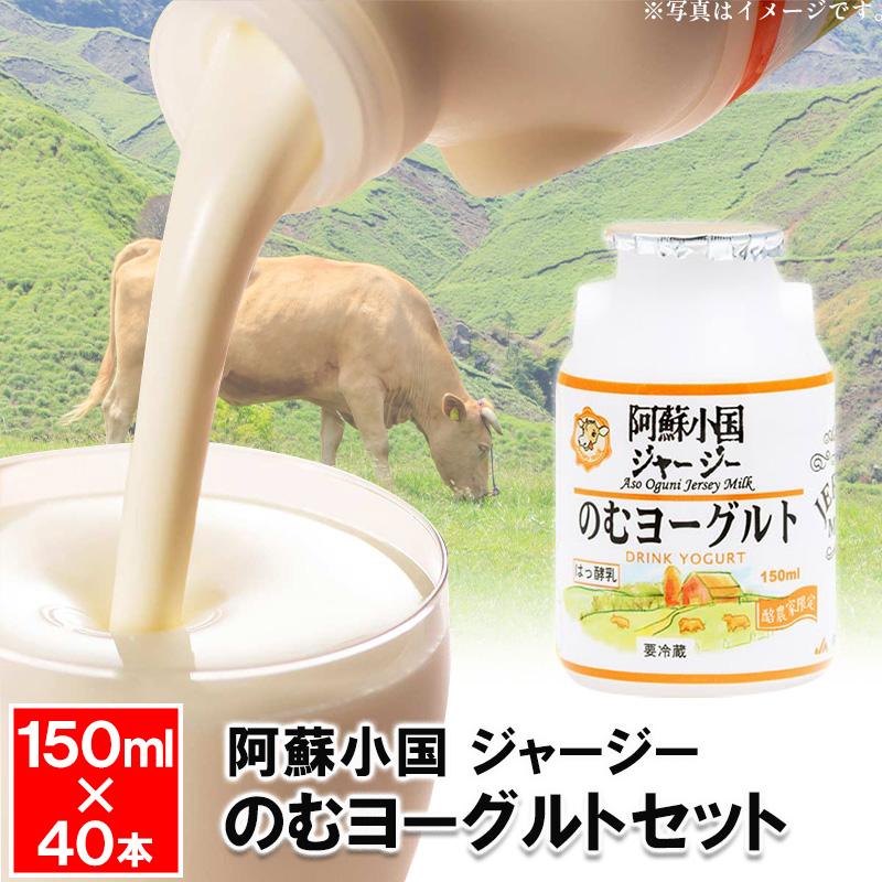 阿蘇小国 ジャージー のむヨーグルト セット 150ml×40本