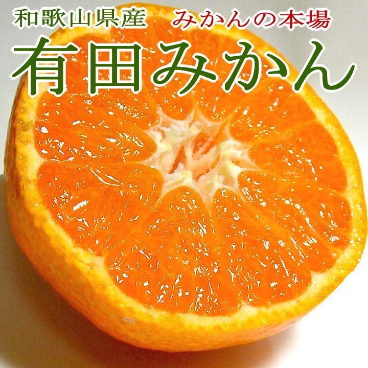 有田みかん ありだみかん 小玉 Sサイズ 約5ｋｇ 60個前後入り 和歌山産　市販箱になります|ミカン 小粒 ありたみかん 本場 ミカン 蜜柑