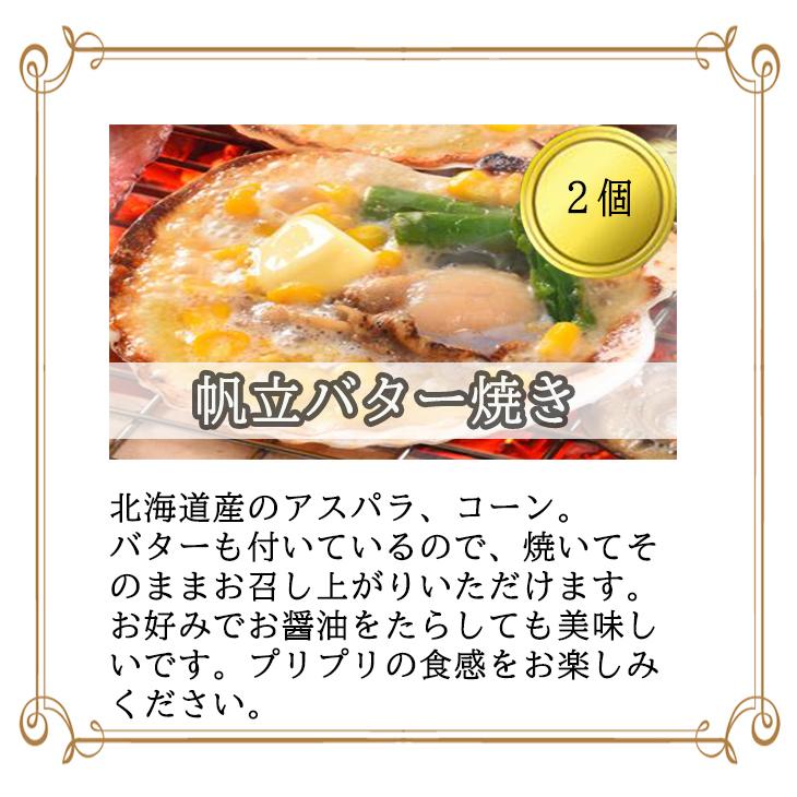 北海道産 海鮮焼き ご当地 サーモンステーキ 帆立 いか 海の幸 海鮮焼き詰合せ 産地直送 送料無料 ギフト お祝い FUJI 父の日 2023