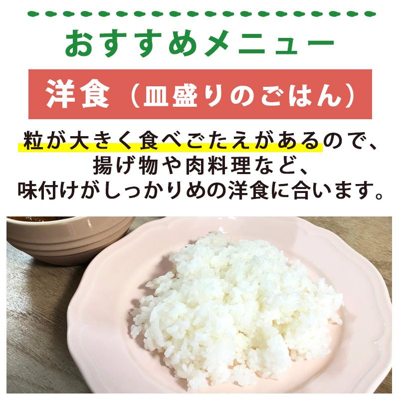 新潟ケンベイ 新潟県産つきあかり 5kg 令和3年産