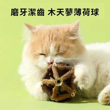 🔥台灣當天出貨🔥 玲瓏球 (木天蓼+貓薄荷) 貓咪玩具球 貓草球 天然貓薄荷球 貓玩具 磨牙潔齒玩具