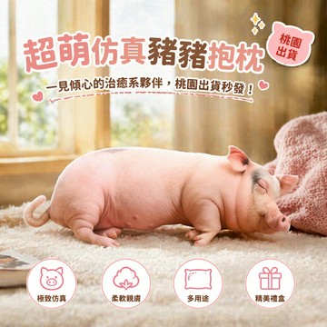 桃園出貨✨可愛仿真小豬抱枕掛件玩偶公仔送閨蜜節日禮物陪睡抱枕 小豬公仔娃娃豬豬玩偶抱枕女生日禮物毛絨玩具公仔娃娃毛絨玩具
