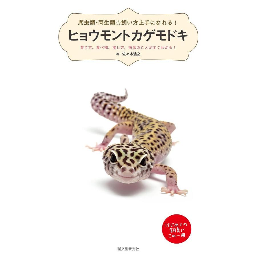 ヒョウモントカゲモドキ 育て方,食べ物,接し方,病気のことがすぐわかる