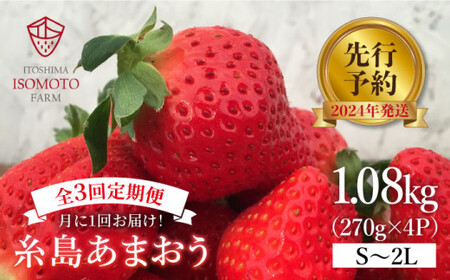 糸島 あまおう 270g×4パック ［2024年1月～3月にて順次発送］ (A品B品含むS～2L) 糸島市   磯本農園   TANNAL[ATB011]