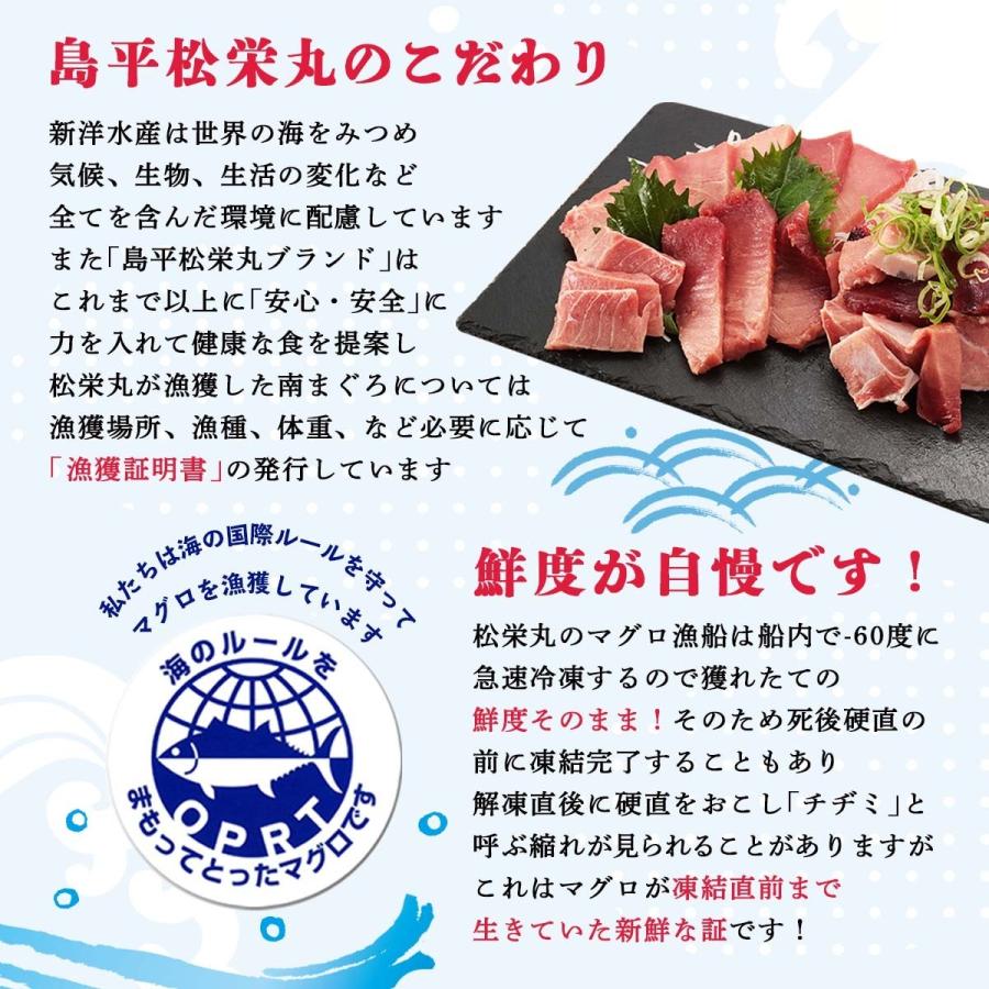 まぐろ 新洋水産 キハダマグロ赤身（生食用） 200g  まぐろ マグロ 鮪 きはだまぐろ 冷凍 天然まぐろ