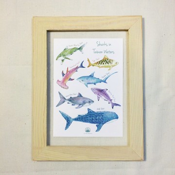 鯊魚隨筆明信片