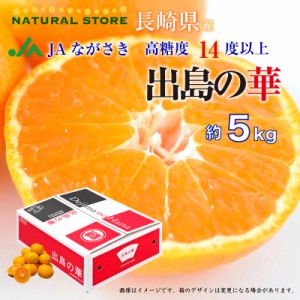 [予約 2023年 12月5日頃から発送] 出島の華 みかん SML 約 5kg 長崎県 JAながさき 高糖度 長崎 高級 産地箱 冬ギフト お歳暮 御歳暮