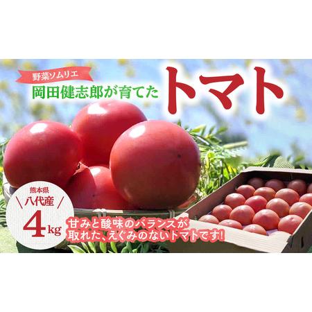 ふるさと納税 野菜ソムリエ岡田健志郎が育てた トマト 4kg 熊本県八代市