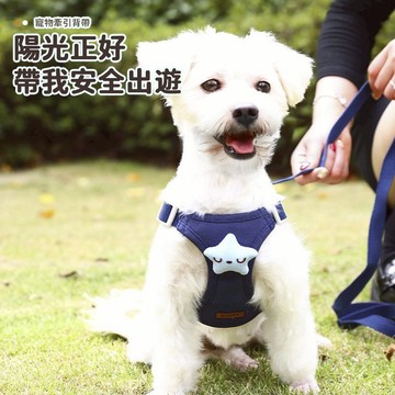 貓咪牽引繩 牛仔布牽引繩 狗狗胸背 寵物外出牽繩 可調節 背心式胸背 小型犬牽引繩 犬貓通用 遛貓繩 貓咪胸背帶 防掙脫