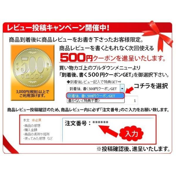 お米ギフト 新潟県産 こしひかり 2合×8袋 16合入 伯方の塩付き 多当和紙入 ギフトセット 真空パック 送料無料 贅沢 リッチ ギフト