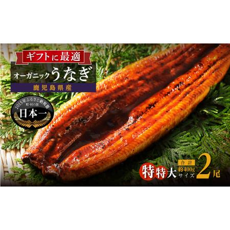 ふるさと納税 泰正オーガニックうなぎ蒲焼　特特大2尾400g以上 鹿児島県大崎町