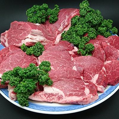 ふるさと納税 草津市 A5ランク牛ヒレステーキ　約4kg×1本