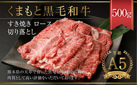 天草 黒毛和牛 すき焼き ロース 切り落とし 500g A5クラス 牛肉