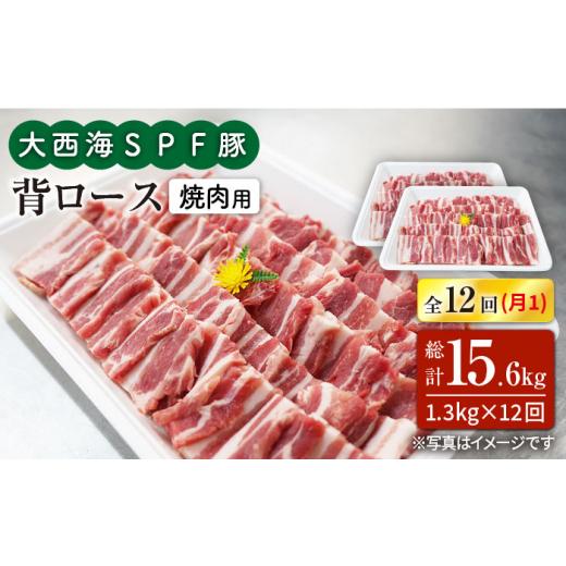 ふるさと納税 長崎県 西海市 大西海SPF豚 背ロース（焼肉用）計15.6kg＜大西海ファーム＞ [CEK128]