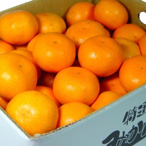 お歳暮 愛媛県産 こだわりみかん　３ｋｇ　ギフト 発送：１１月下旬〜