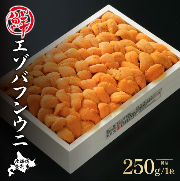 特選エゾバフンウニ折詰250g！！ウニ丼約3杯分