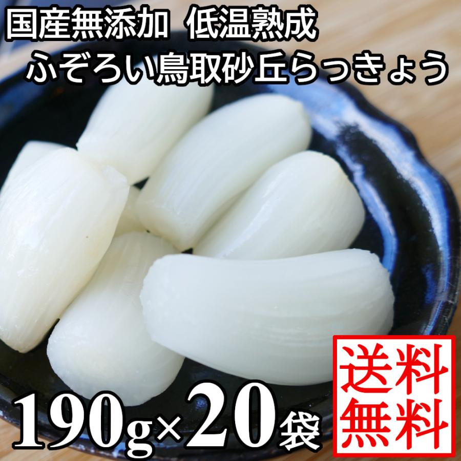 らっきょう 国産 190gx20袋 無添加 低温熟成 鳥取 ふぞろい らっきょう漬け 国産 ラッキョウ漬け 甘酢漬け 送料無料