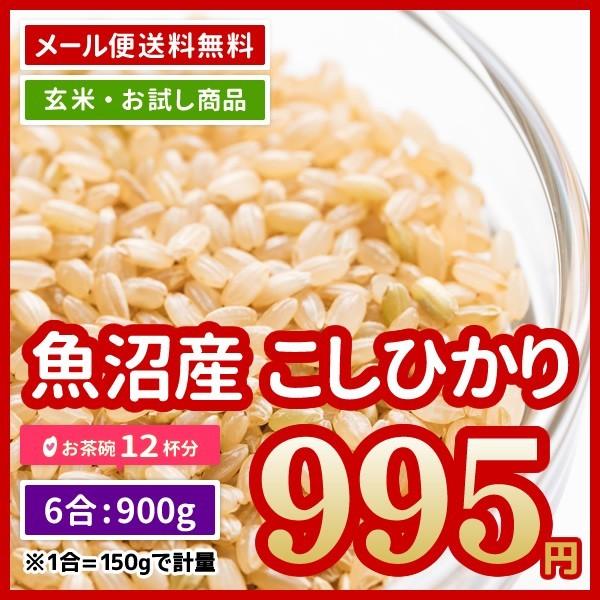 玄米 送料無料 ポイント消化 米 お米 極上米 魚沼産 コシヒカリ 900g （450g×2） お試し 令和5年産 ※メール便のため日時指定・代引不可