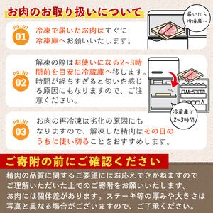 ふるさと納税 鹿児島県産！薩摩隼人の若鳥もも肉・にんにく醤油漬け(約300gx4P・1.2kg) 国産 鶏肉 若鳥A-286 鹿児島県曽於市