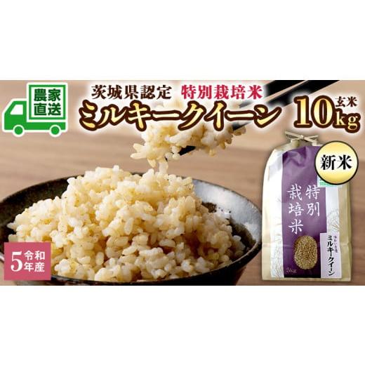 ふるさと納税 茨城県 八千代町 令和5年産 新米 茨城産 特別栽培米 ミルキークイーン 10kg 玄米  米 こめ コメ 茨城県 国産 いばらき 単一米 直送 …