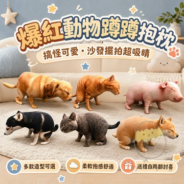 隔曰達 狗子嗯嗯造型抱枕 寵物拉屎造型抱枕 全台最低價 搞怪拉臭臭抱枕 小貓蹲蹲抱枕 沙發抱枕 狗狗拉屎抱枕 交換禮物