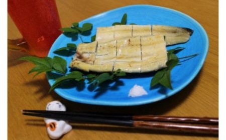 吉川水産 高知県産うなぎの白焼き 特大サイズ(180～210g)×2尾 タレ付き yw-0044