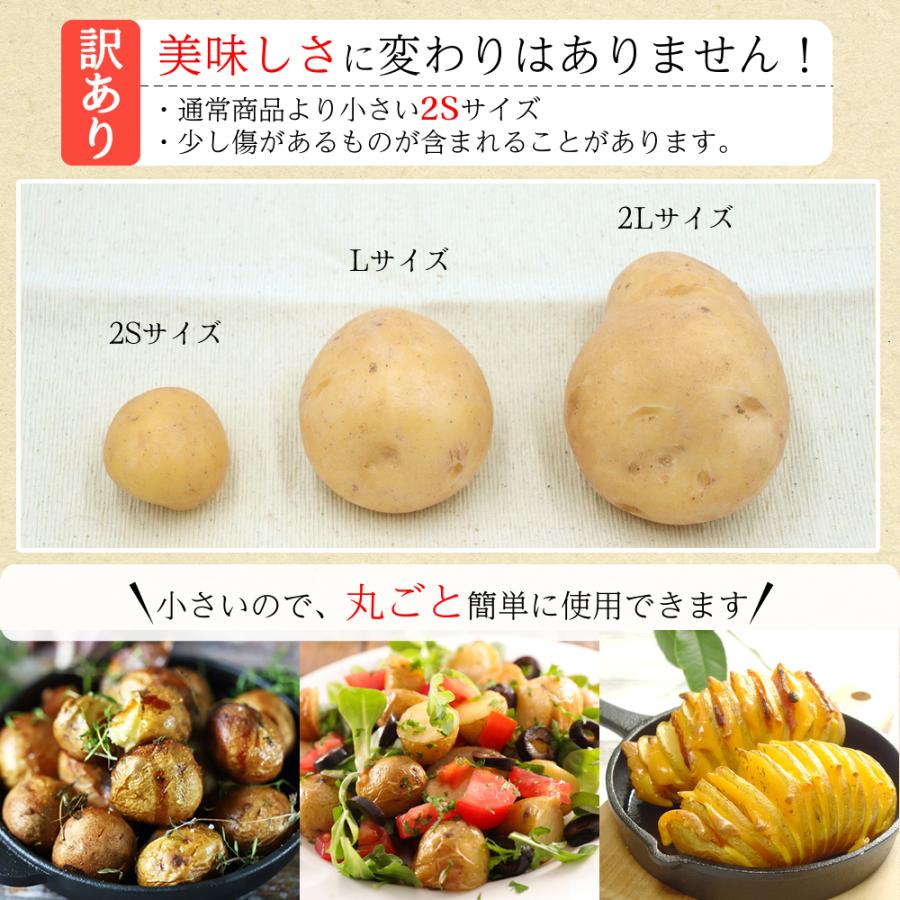 希少品種 訳あり ながさき黄金 じゃがいも 長崎県産 5kg 芋 野菜 サイズ混合 2S 馬鈴薯 ジャガイモ 九州 やさい