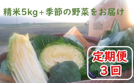 定期便 3回 米 5kg 季節野菜 セット 精米 ゆめつくし